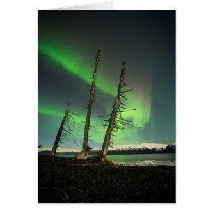Förglömd Spruce-Aurora Hälsningskort