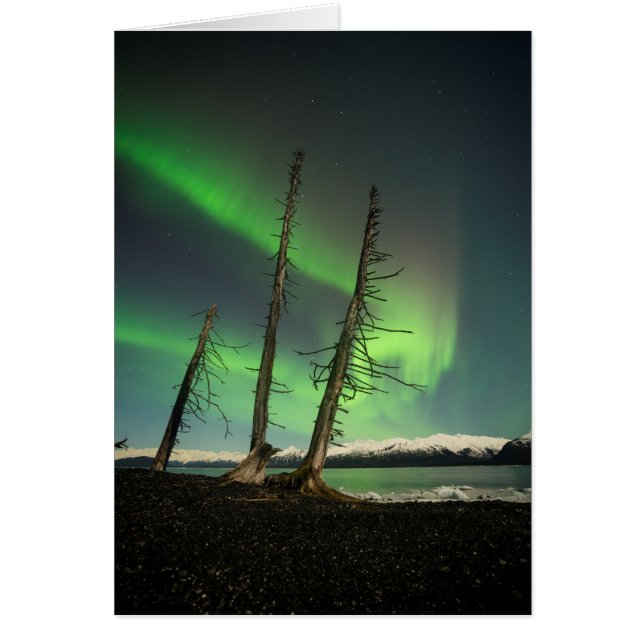 Förglömd Spruce-Aurora Hälsningskort (Framsidan)