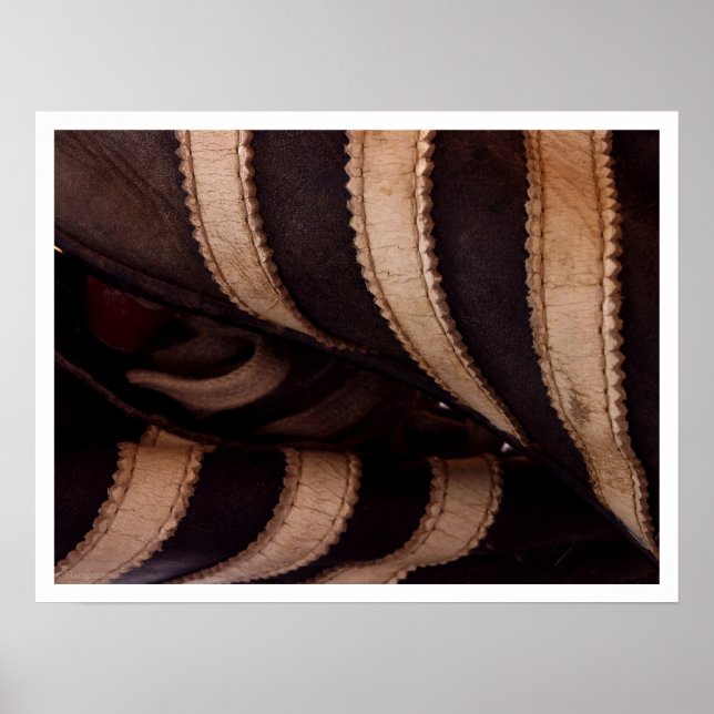 forgo springa poster (Framsidan)