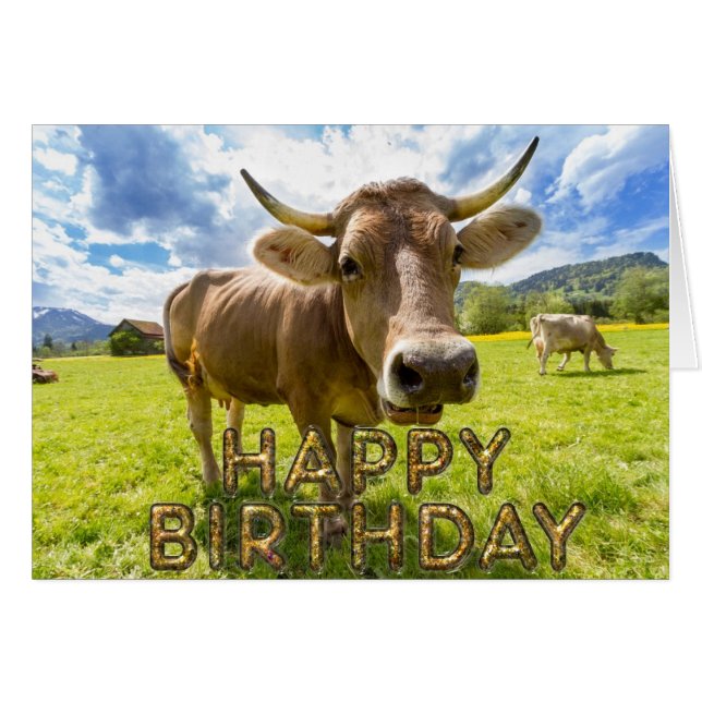 Förgrund nyfiken ko hälsningskort (Framsidan Horizontal)