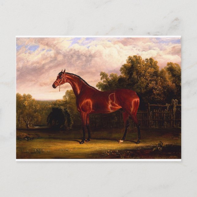 Förhandlare Vykort (Framsida)