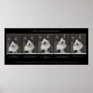 "FÖRHANDLAREN" Funny Kattfotosekvens Poster