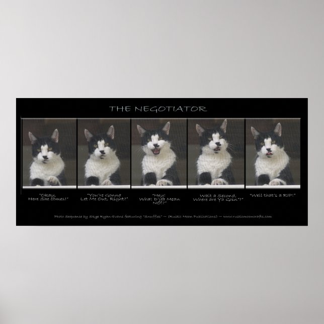 "FÖRHANDLAREN" Funny Kattfotosekvens Poster (Framsidan)