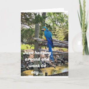 FÖRHANDLING RUNT OCH VILL SÄGA GRATTIS PÅ FÖDELSED KORT