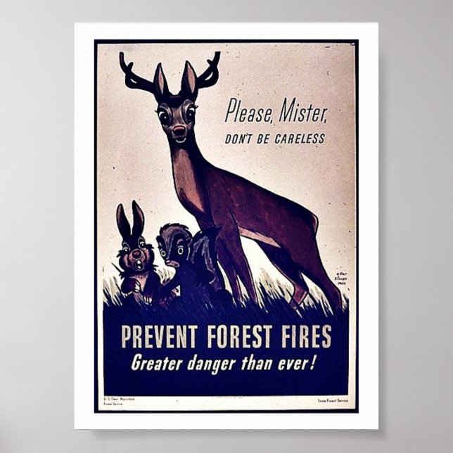 Förhindra skogsbränder poster (Framsidan)