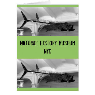 Förhistorisk fisk B+W Hälsningskort