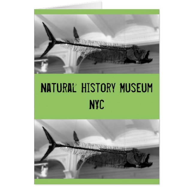 Förhistorisk fisk B+W Hälsningskort (Framsidan)