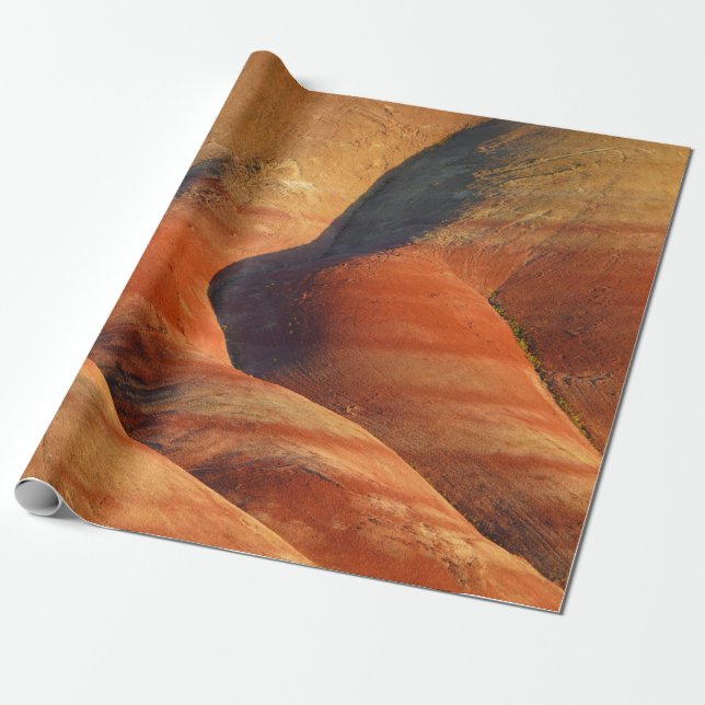 Förhistorisk Presentpapper (Utrullad)