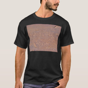 Förhistorisk skyddad Teckning i öknen T-shirt