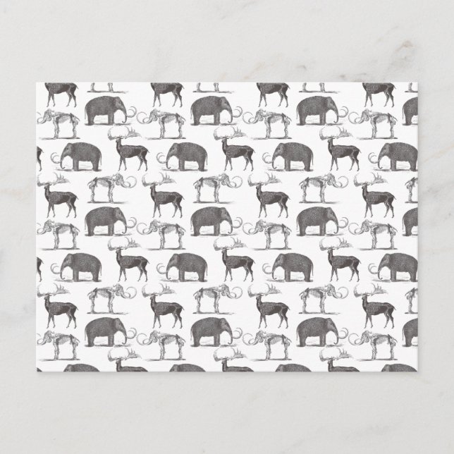 Förhistoriska djur - Wooly Mammoth och Megaceros Vykort (Framsida)