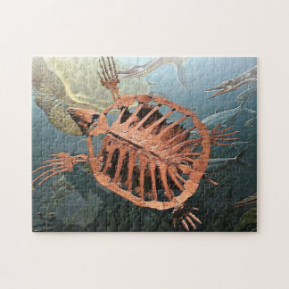 FÖRHISTORISKA SKÖLDPADDABEN PUSSEL