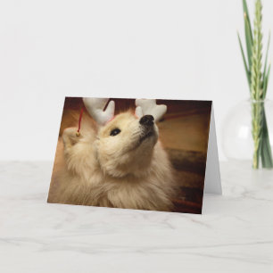 Förhoppning om Hund till jul i Rener Öron Card Helgkort