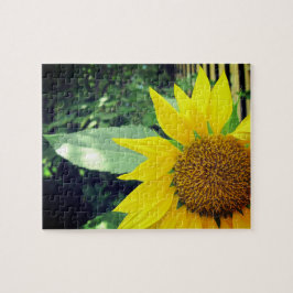 Förhoppning om solrosslappning av självbetjänande  pussel