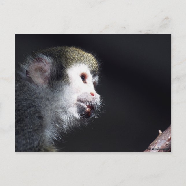 "Förhoppningsfullt" vykort (Framsida)