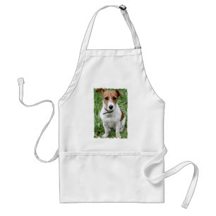 Förkläde för jackRussell Terrier