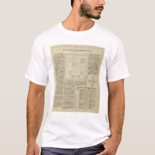 Förklaring av regerings- granskningar t shirt