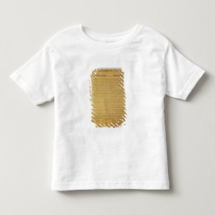 Förklaring av självständighet t-shirt
