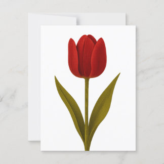 Förklaring från Kärlek Vykort