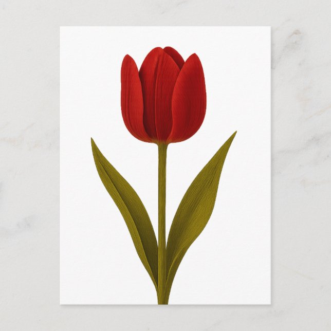 Förklaring från Kärlek Vykort (Framsida)