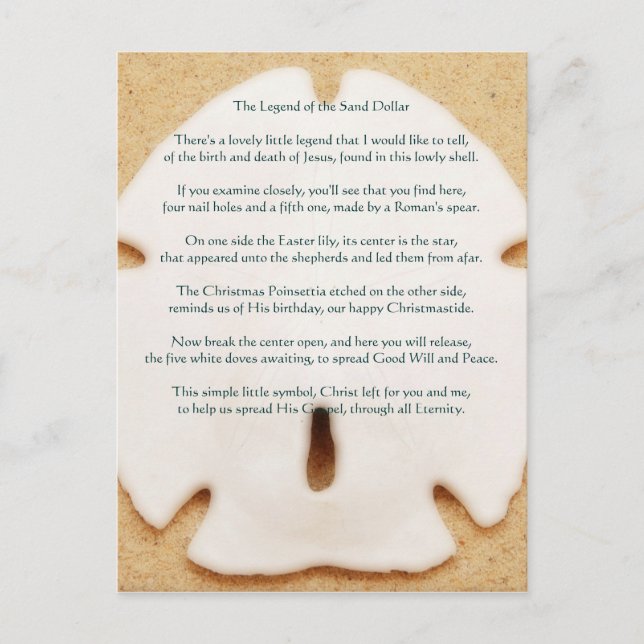 Förklaring till Sand Dollar Postcard Vykort (Framsida)