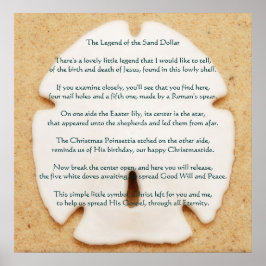 Förklaring till Sand Dollar Poster