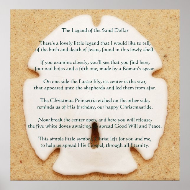 Förklaring till Sand Dollar Poster (Framsidan)