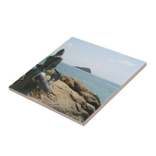 Förklaring till Sudsakorn ... Sattahöft, Thailand Kakelplatta