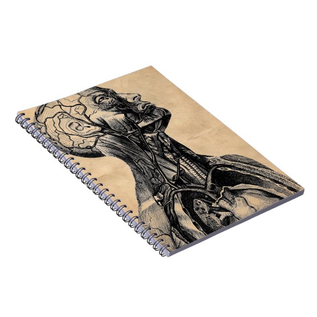 Förkroppsligar den Anatomical illustrationen för Anteckningsbok (Högra Sidan)