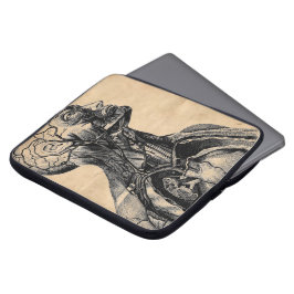 Förkroppsligar den Anatomical illustrationen för Laptop Fodral