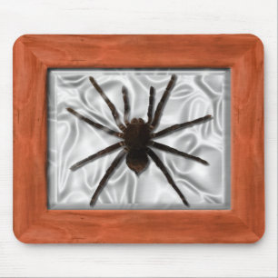 Förlaga Box - Tarantula Musmatta