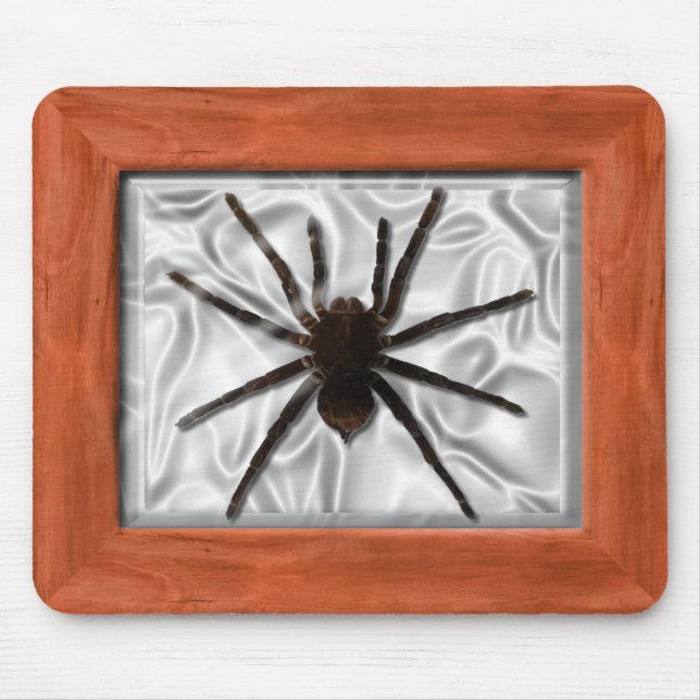 Förlaga Box - Tarantula Musmatta (Framsidan)