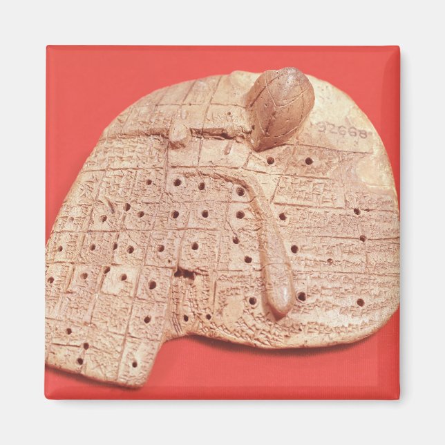 Förlaga till fårlever magnet (Framsidan)