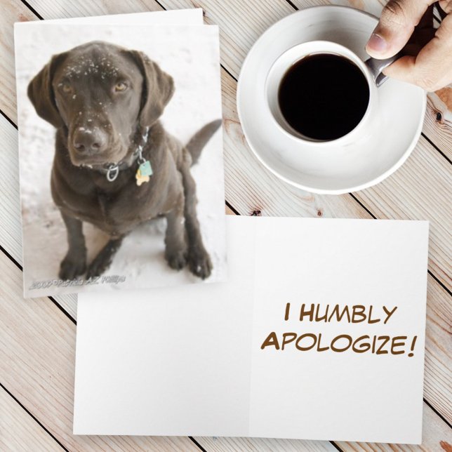 Förlåt att Chocolate Labrador Retriever Hund Photo Kort (chocolate lab cover template text inside)