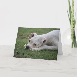 Förlåt att du inte känner så bra. kort