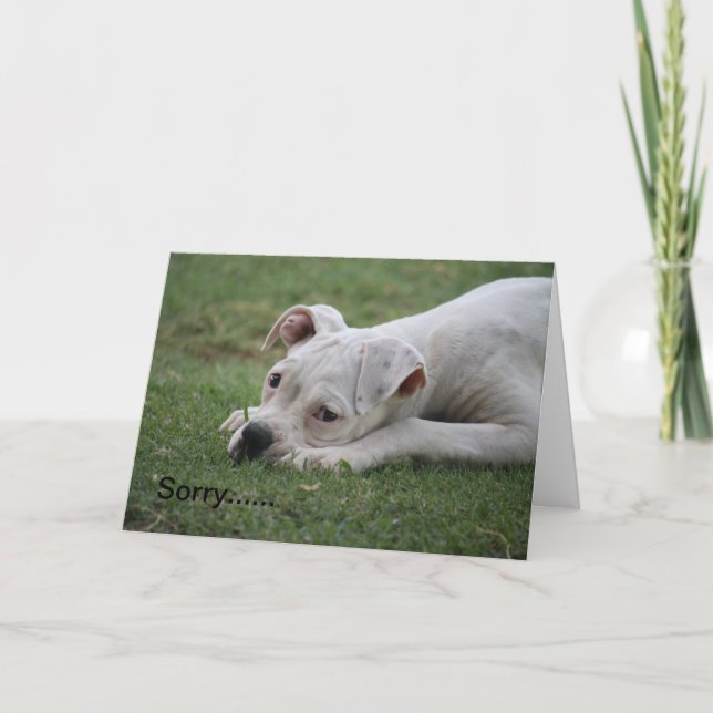 Förlåt att du inte känner så bra. kort (Framsida)