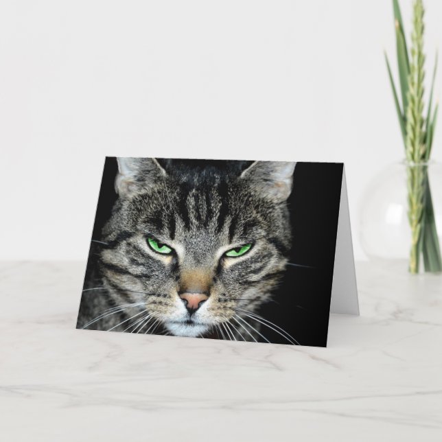 Förlåt att du säger att jag inte tänkor så, Sarcas Kort (Framsida)