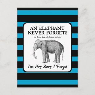 Förlåt att jag glömde vykort