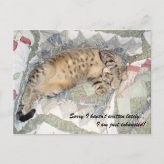 Förlåt att jag inte har skrivit den senaste tiden. vykort