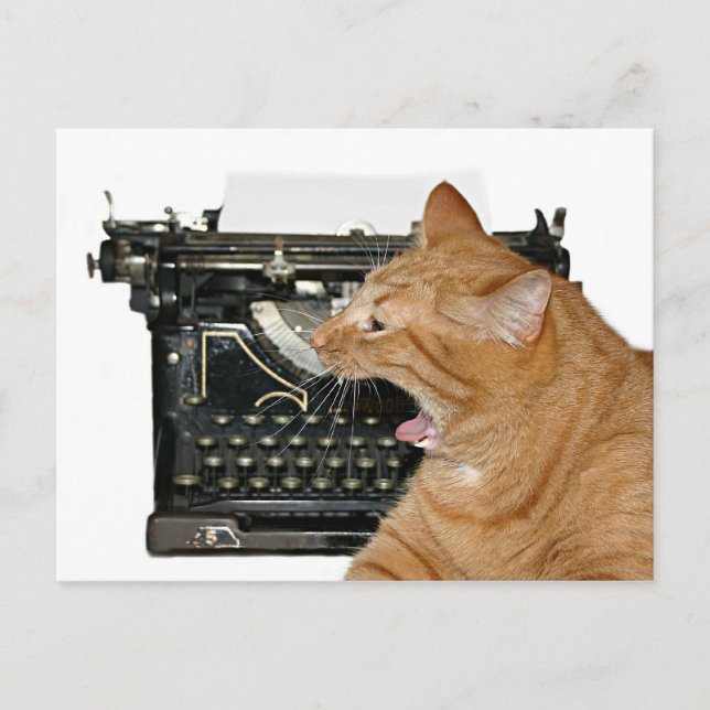 Förlåt att jag inte har skrivit vykort (Framsida)