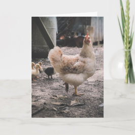 Förlåt för att du är så jobbig kort