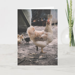 Förlåt för att du är så jobbig kort