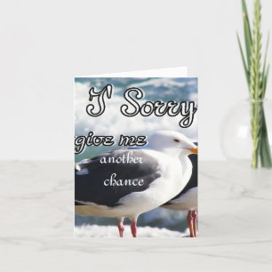 Förlåt,Förlåta mig_ Kort