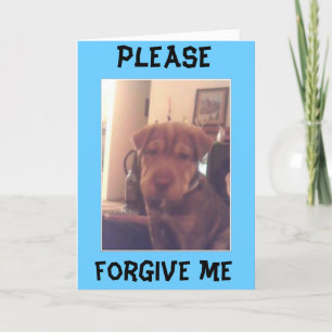 Förlåt Kort