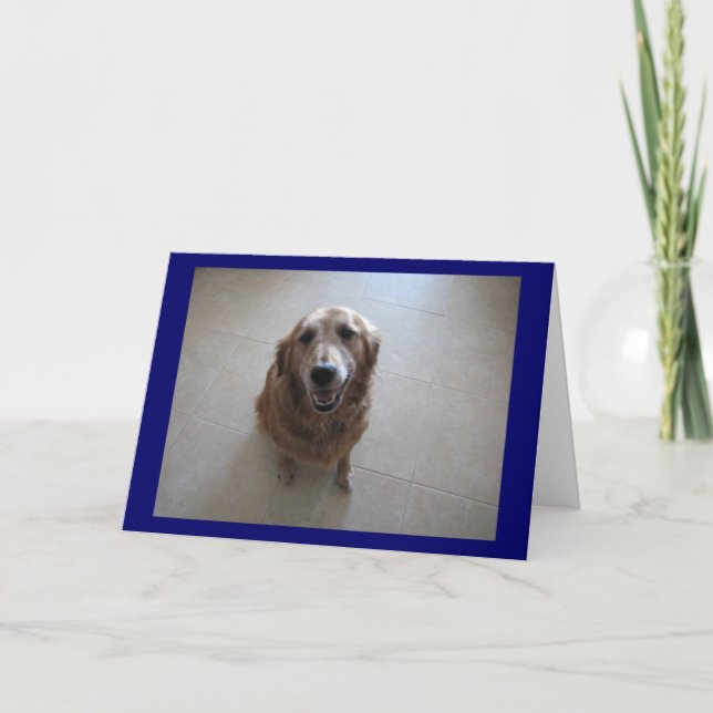 Förlåt! Kort (Framsida)