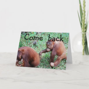 Förlåt: Låt oss Gå tillbaka tillsammans Kort