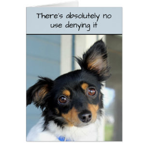 Förlåt mig för att jag har ett rutgiskt skärpekort hälsningskort