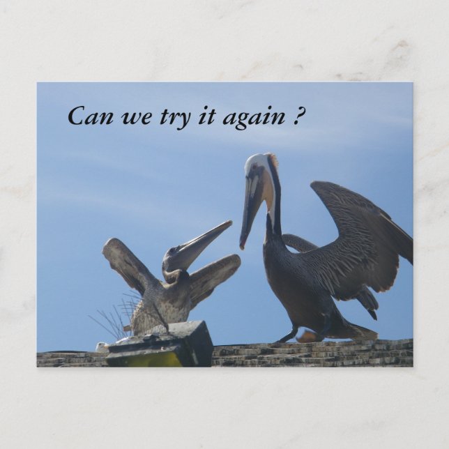 Förlåt mig/ gå ut med mig_ vykort (Framsida)