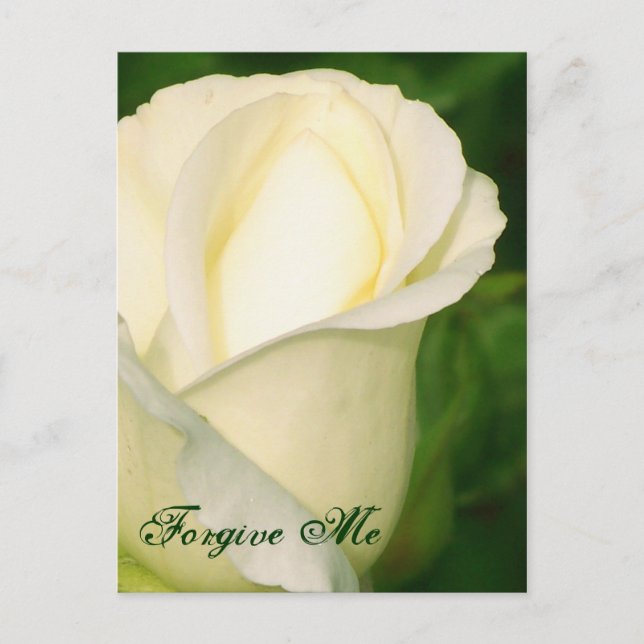 Förlåt mig/ valfritt Tillfälle_vykort Vykort (Framsida)