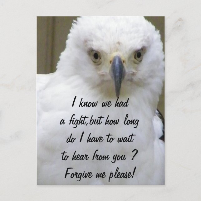 Förlåt mig__ vykort (Framsida)