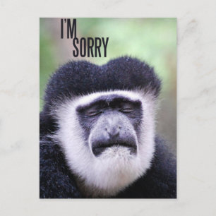 Förlåt, Monkey Vykort